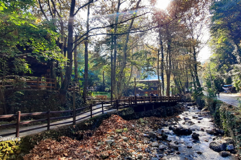 26 - 27 Ekim  Maşukiye-Ormanya- Hobbit Evleri- Sapanca gölü- Güzeldere Şelalesi- Efteni gölü- Gölcük Gölü Turu