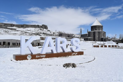 Doğu Ekspresi İle Kars,Ani,Çıldır,Sarıkamış-11-16 Şubat 2025