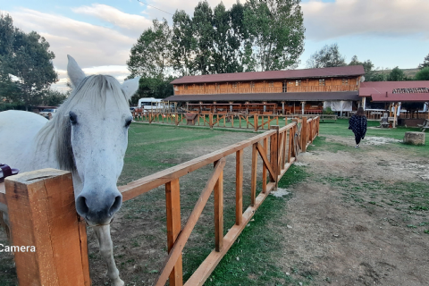 Muhteşem Kastamonu-Horma Kanyonu-Çatak Kanyonu-Daday- Turu