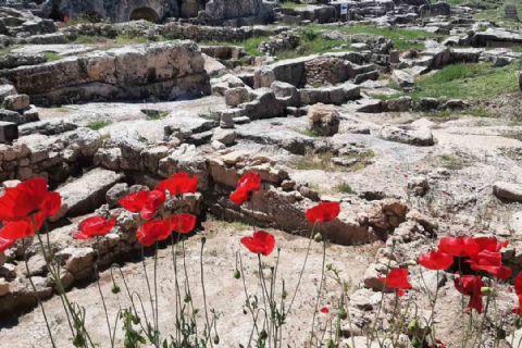 Nemrut-Cendere-Perre Antik Kenti-Halfeti Tekne Turu